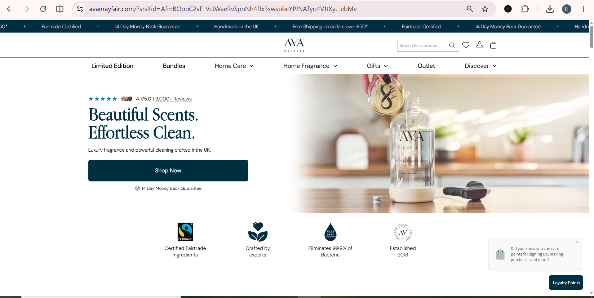Ava Mayfair website preview