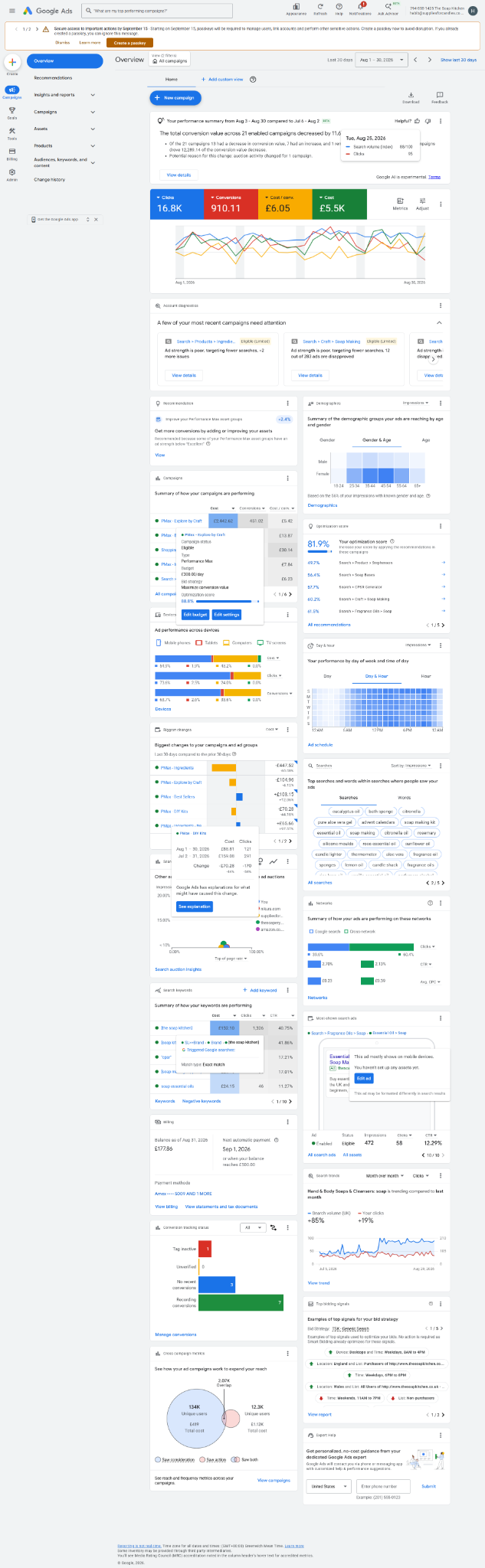 Google Ads - The Soap Kitchen Account Overview